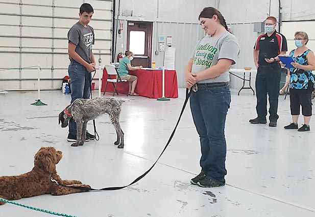 4-H/FFA showcase